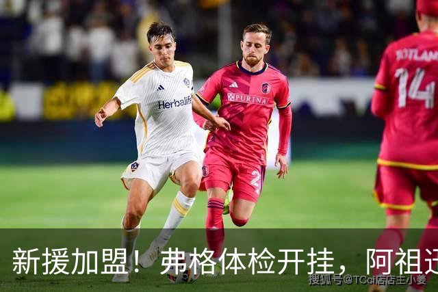 新援加盟！弗格体检开挂，阿祖迅猛来袭，杜锋朱总高发光！